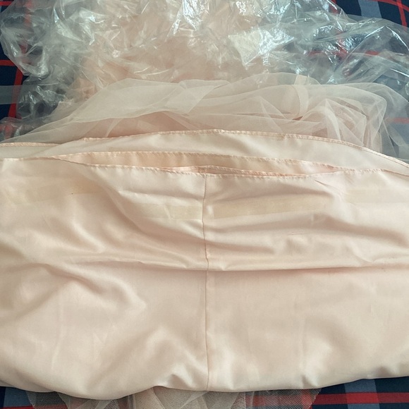 Blush Vera Wang bridesmaid Dress - Picture 9 of 9